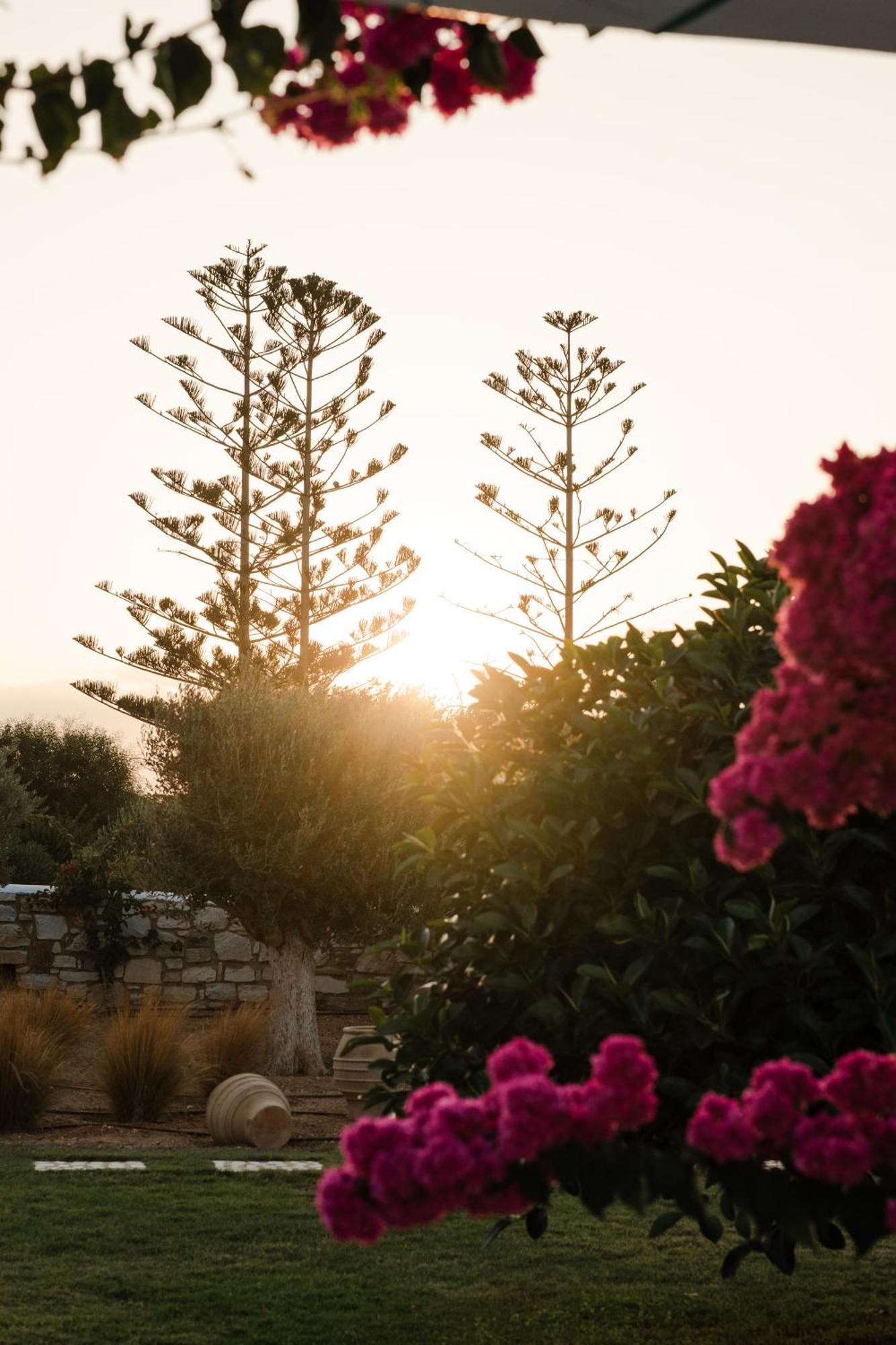 White Dunes Luxury Boutique Hotel Santa Maria  Eksteriør bilde