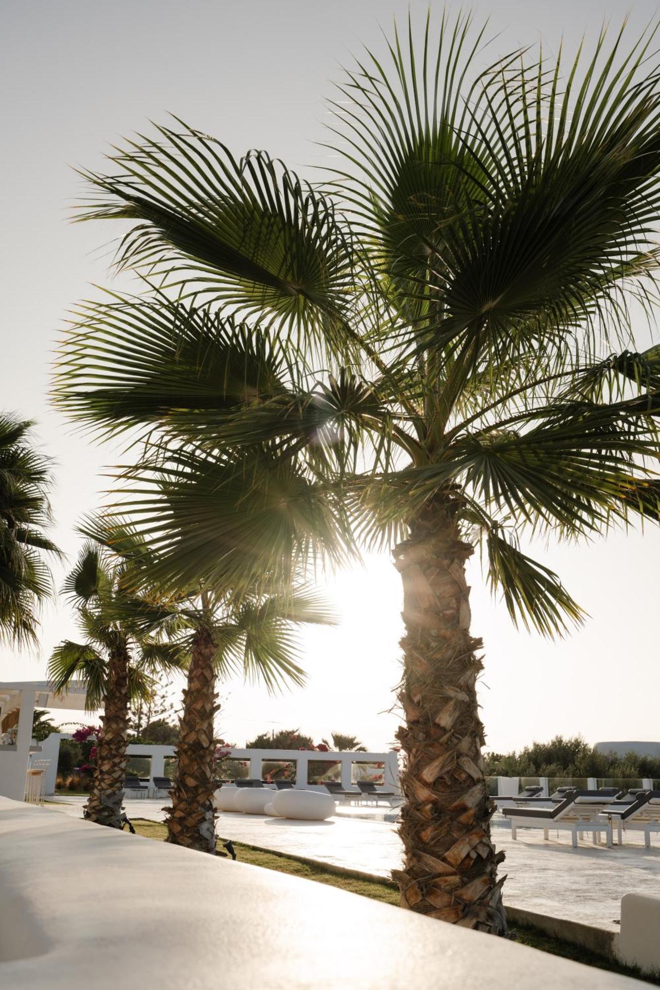 White Dunes Luxury Boutique Hotel Santa Maria  Eksteriør bilde